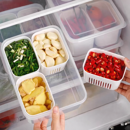 Aspiral Refrigerator Organizer Container with 4 and 6 Grid Compartments | 2000ML Fridge Storage Box for Vegetables & Fruits