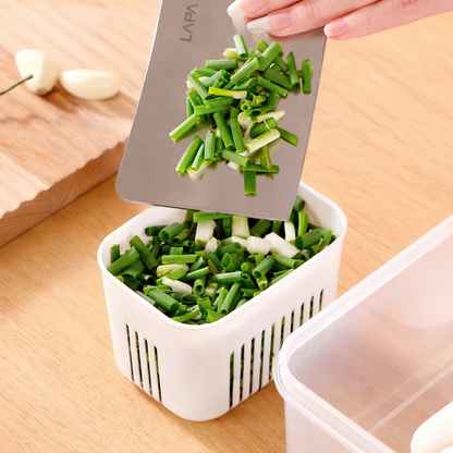 Aspiral Refrigerator Organizer Container with 4 and 6 Grid Compartments | 2000ML Fridge Storage Box for Vegetables & Fruits