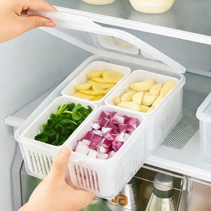 Aspiral Refrigerator Organizer Container with 4 and 6 Grid Compartments | 2000ML Fridge Storage Box for Vegetables & Fruits
