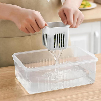 Aspiral Refrigerator Organizer Container with 4 and 6 Grid Compartments | 2000ML Fridge Storage Box for Vegetables & Fruits