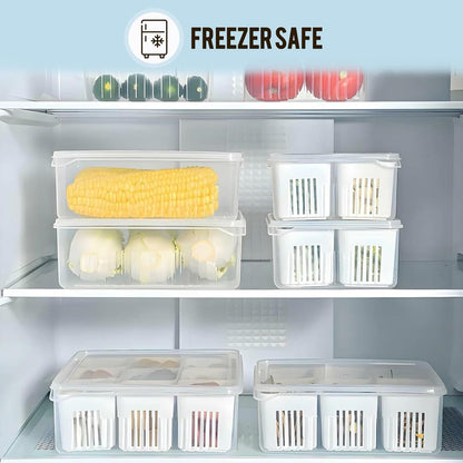 Aspiral Refrigerator Organizer Container with 4 and 6 Grid Compartments | 2000ML Fridge Storage Box for Vegetables & Fruits