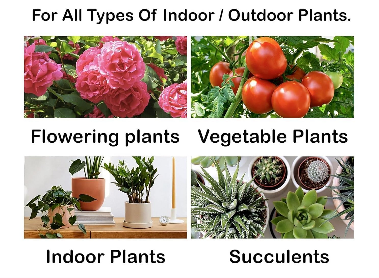 Aspiral Fertilizer Sticks for Potted Plants (25 Sticks) – 45 Days Plant Food for Indoor & Outdoor Pots | Mess-Free Nutrient Boost with Essential NPK & Micronutrients