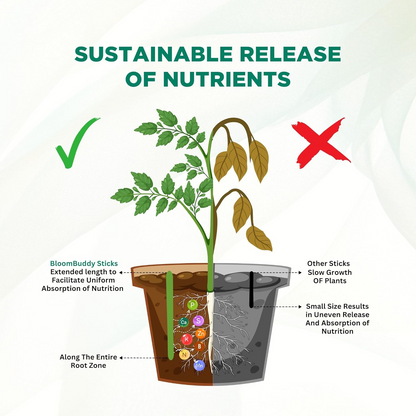 Aspiral Fertilizer Sticks for Potted Plants (25 Sticks) – 45 Days Plant Food for Indoor & Outdoor Pots | Mess-Free Nutrient Boost with Essential NPK & Micronutrients