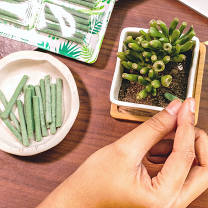 Aspiral Fertilizer Sticks for Potted Plants (25 Sticks) – 45 Days Plant Food for Indoor & Outdoor Pots | Mess-Free Nutrient Boost with Essential NPK & Micronutrients