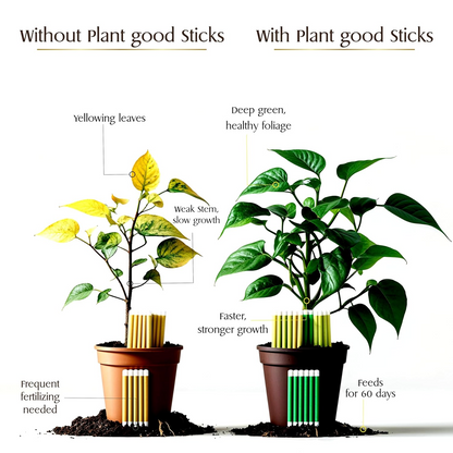Aspiral Fertilizer Sticks for Potted Plants (25 Sticks) – 45 Days Plant Food for Indoor & Outdoor Pots | Mess-Free Nutrient Boost with Essential NPK & Micronutrients